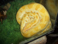 gal/07 - Sihanoukville/_thb_RIMG1995.jpg